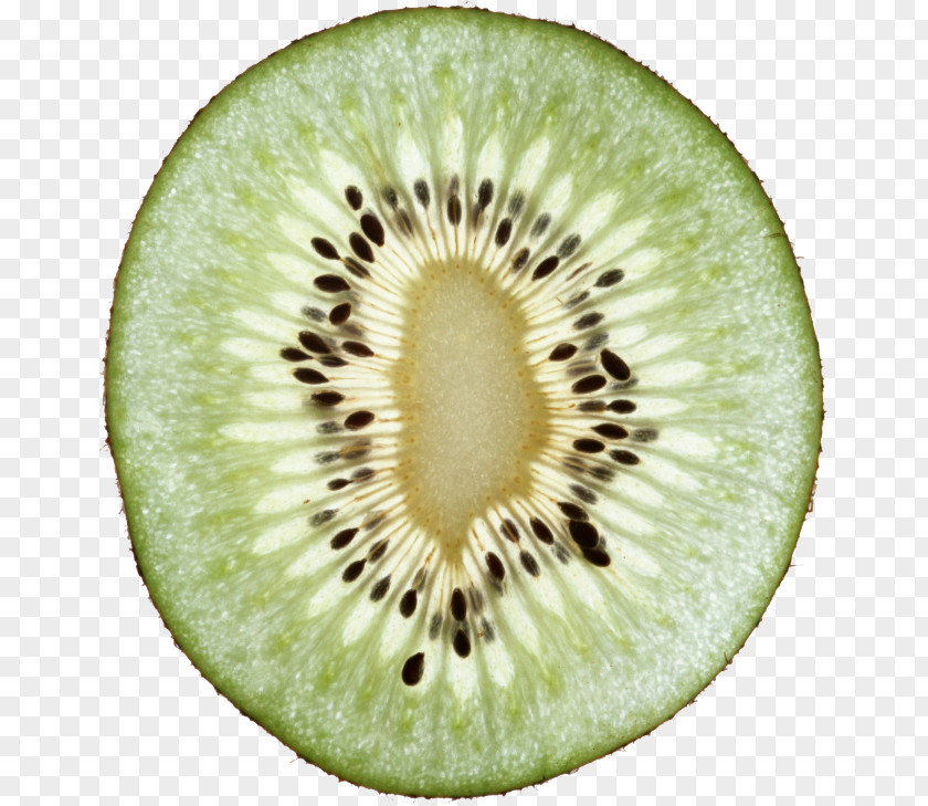 Kiwifruit Image Clip Art Vegetarian Cuisine PNG