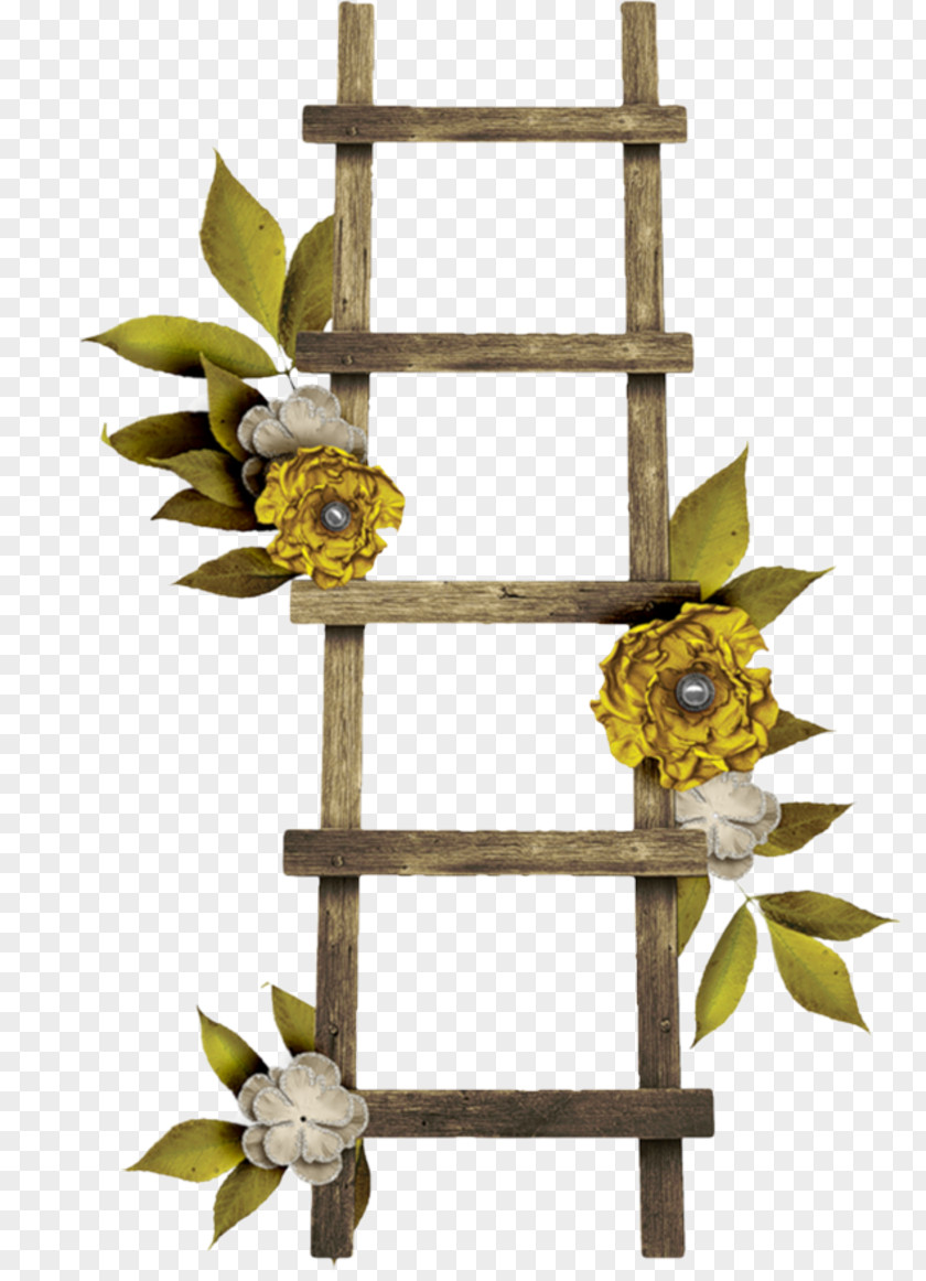 Ladder Clip Art Wood Image PNG