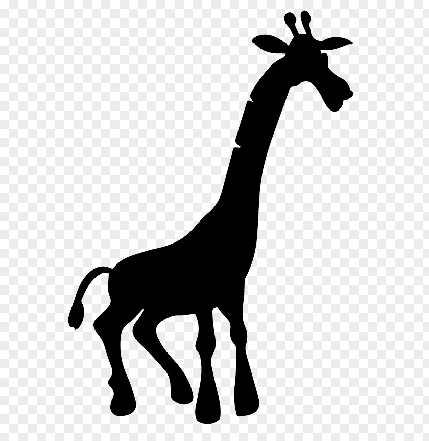 M Goat Pack Animal Giraffe Mustang Black & White PNG