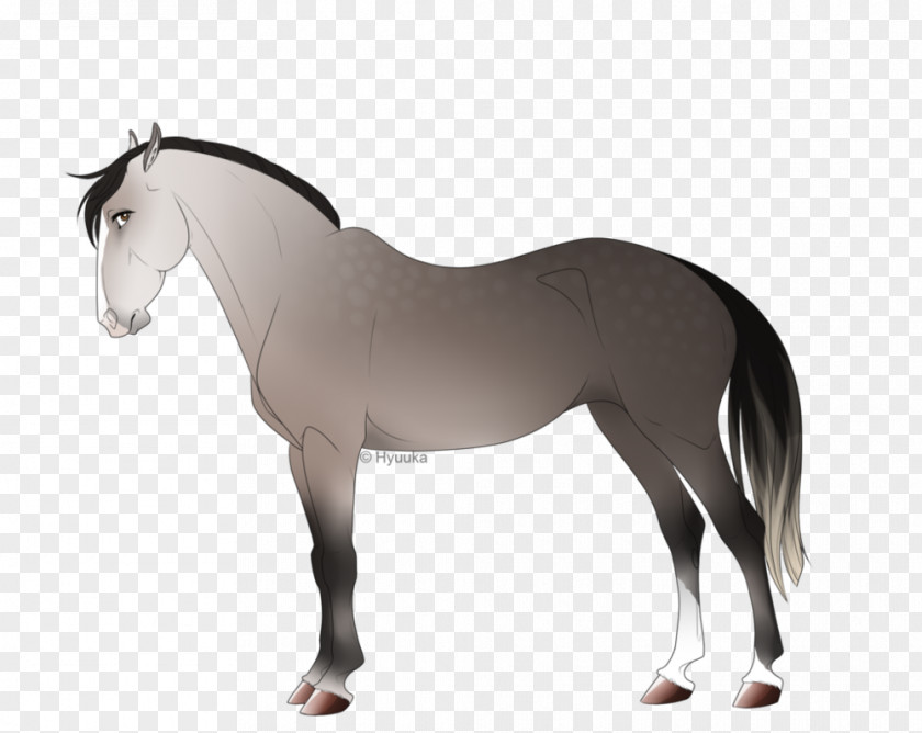 Mustang Mane Stallion Pony Mare PNG