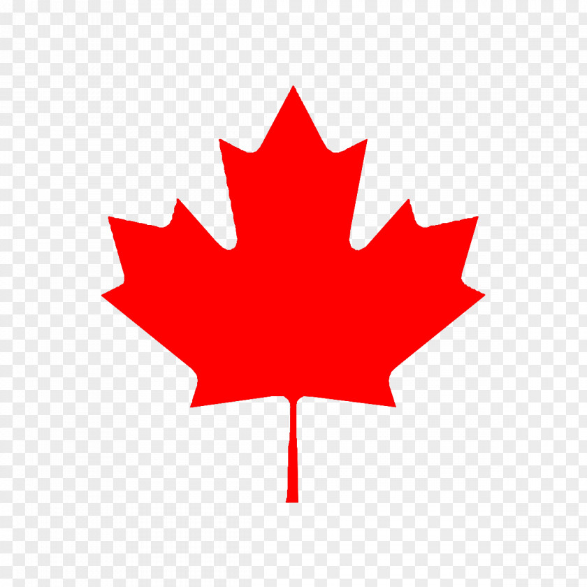 Red Leaves Flag Of Canada Maple Leaf The United States PNG