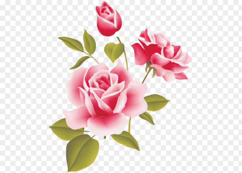 Rose Desktop Wallpaper Clip Art PNG