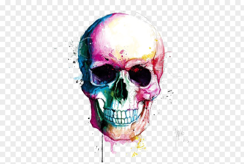 Skull Calavera Drawing Color Painting PNG