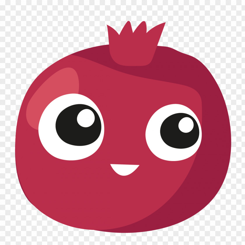 Vector Pomegranate PNG