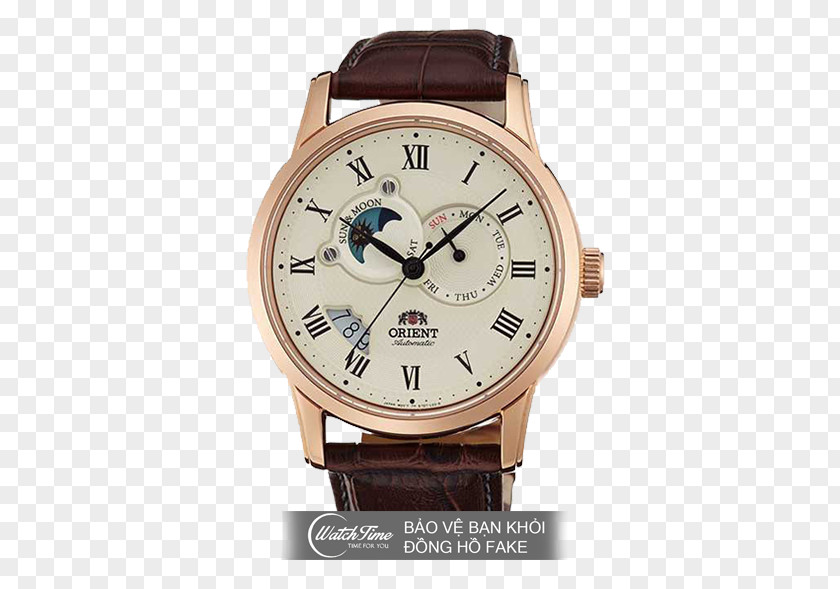 Watch Orient Automatic Sapphire Mechanical PNG