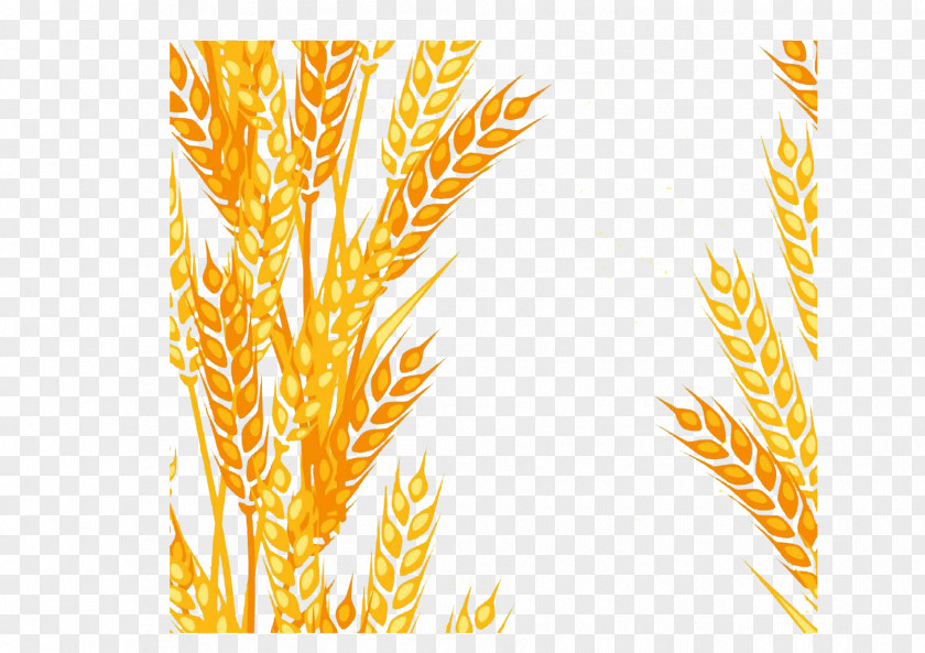 Wheat Decorative Pattern Animation Clip Art PNG