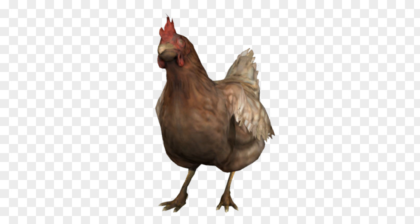 Counter-Strike: Global Offensive Leghorn Chicken Ixworth Hen Counter-Strike 1.6 PNG