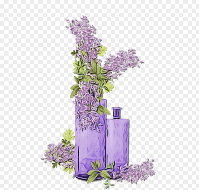 Flowering Plant English Lavender PNG