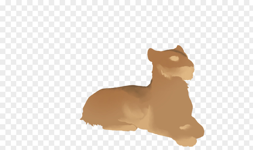 Lion Whiskers Dog Cat Paw PNG