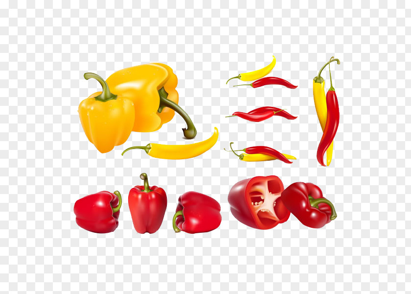 Pepper Profile Red Bell Vegetable Chili Clip Art PNG