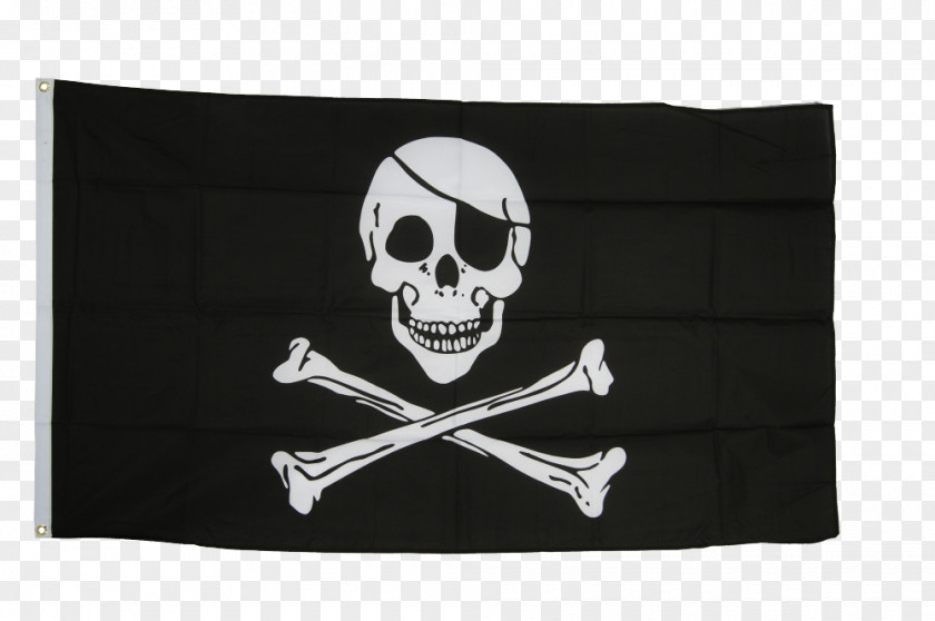 Pirate Jolly Roger Skull And Crossbones Flag PNG