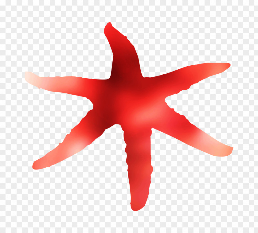 Starfish RED.M PNG