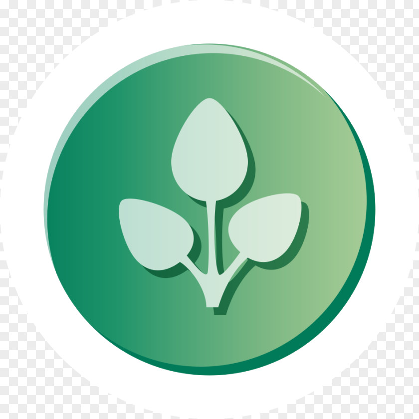 Symbol Green Logo Leaf PNG