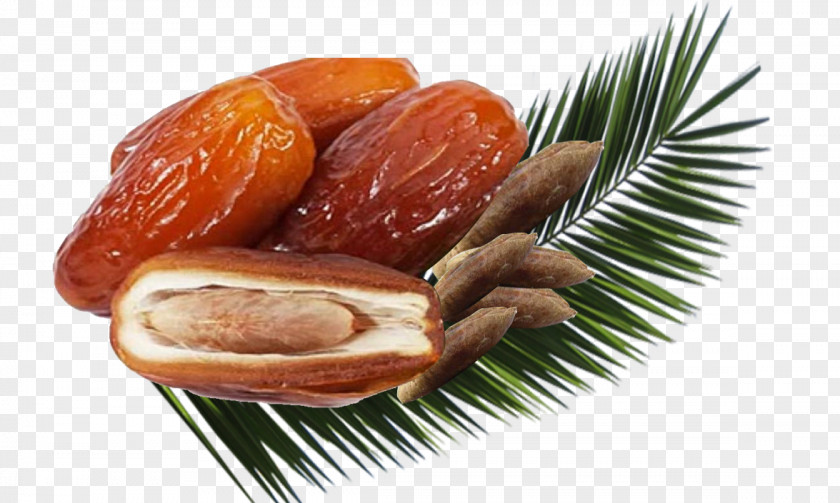 Date Palm Dried Fruit Food PNG