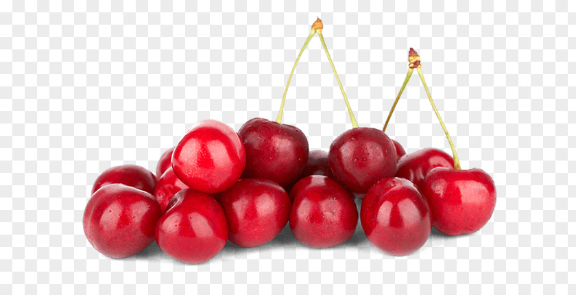 Fresh Cherries Cherry Fat Fruit Carbohydrate Food PNG