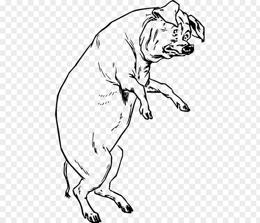 Ham Vietnamese Pot-bellied Animal Farm Clip Art PNG