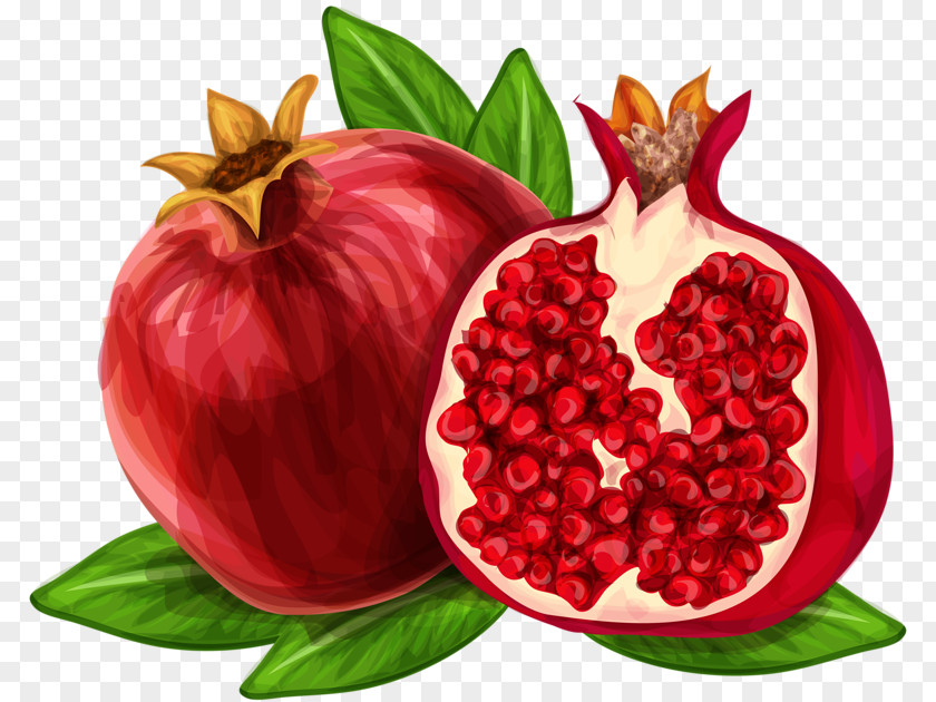 Hand-painted Watercolor Pomegranate Juice Royalty-free Clip Art PNG