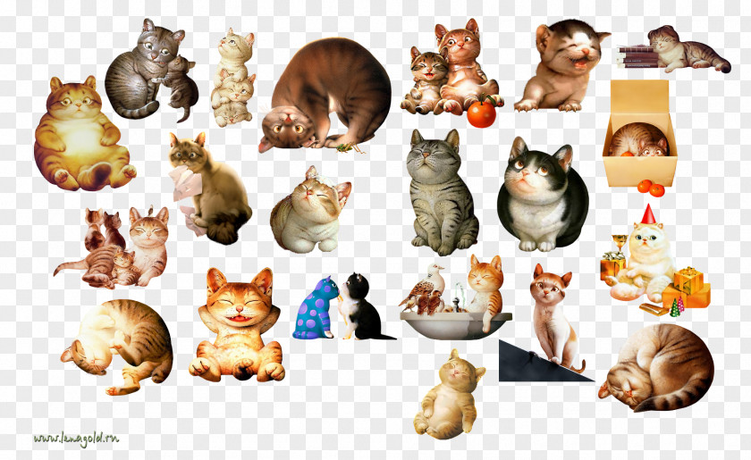 Kitten Cat Clip Art PNG