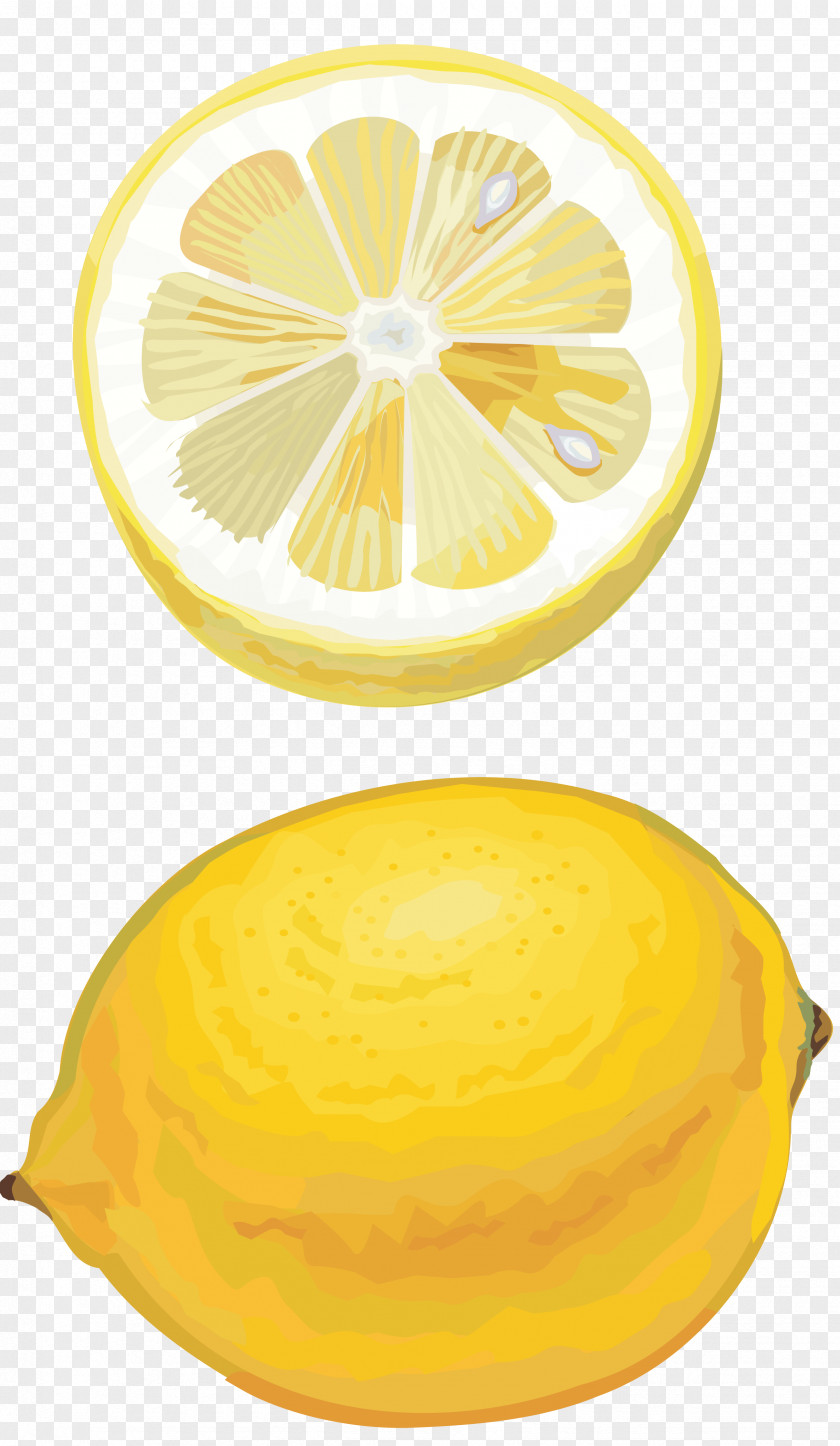 Lemon Citron Orange Citric Acid Lime PNG