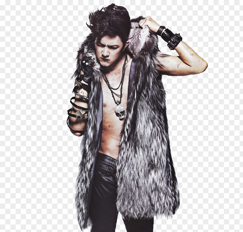 Photo Shoot Black Hair Fur Clothing Hairstyle PNG