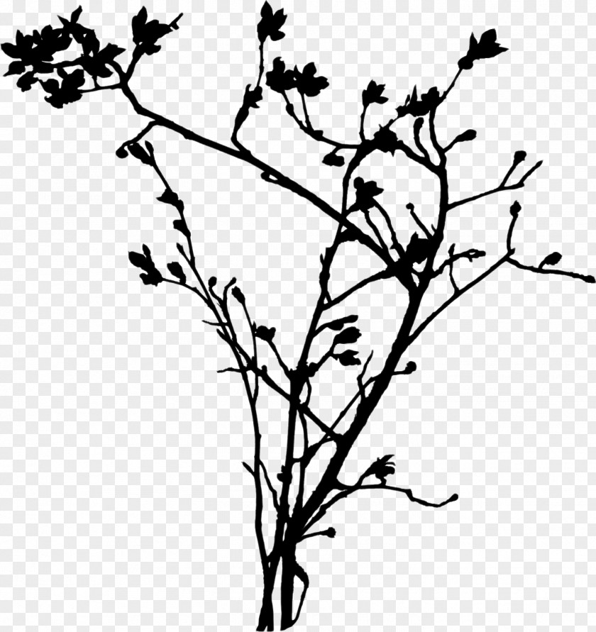 Twig Branch Leaf Plant Stem Tree PNG