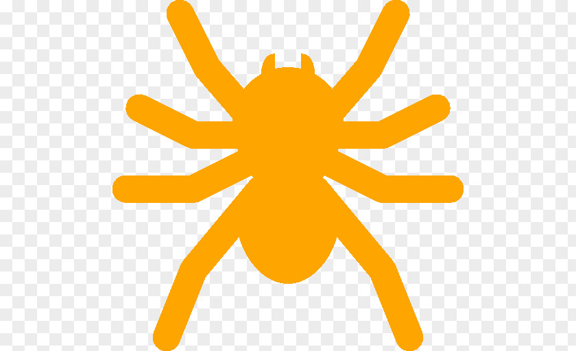 Weather Creative Spider PNG
