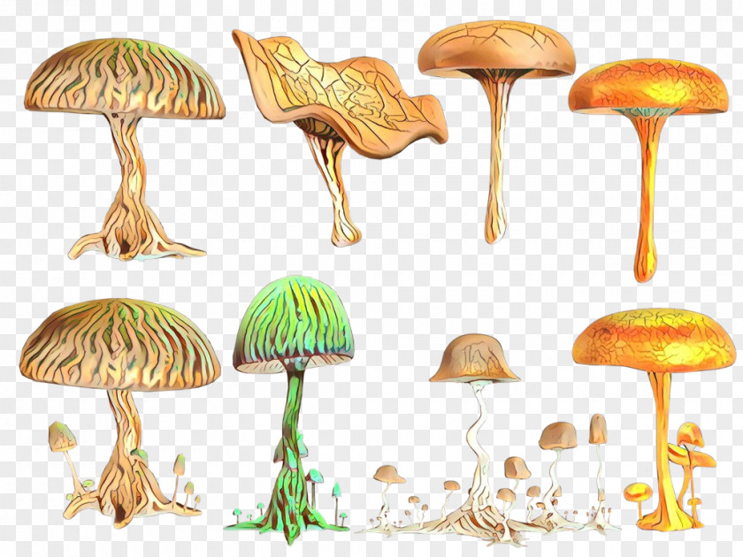 Agaricus Russula Integra Mushroom Fungus Shiitake Design Drawing PNG