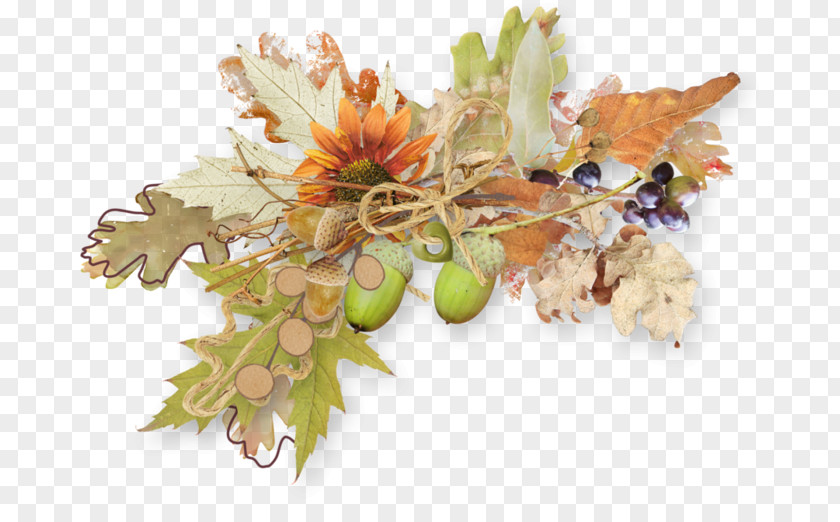 Autumn Clip Art PNG