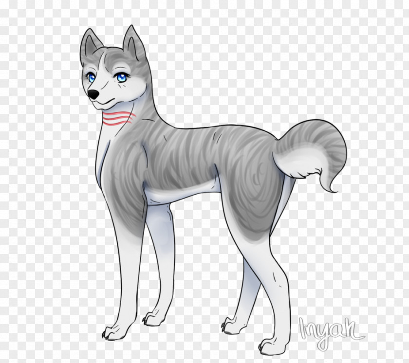 Cat Siberian Husky Dog Breed Whiskers PNG