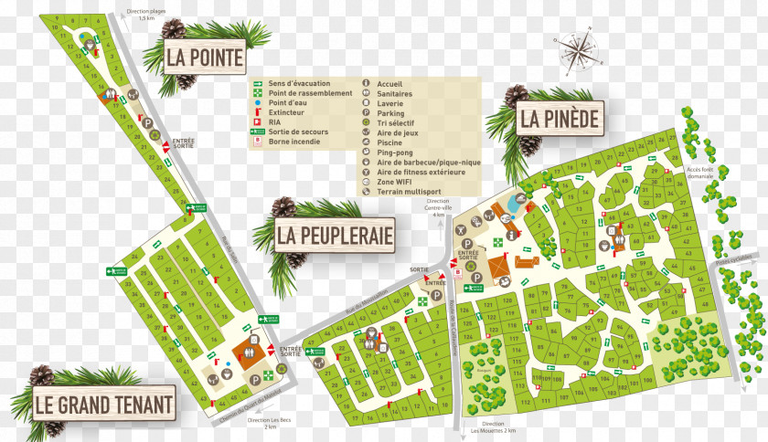 Design Urban Area PNG