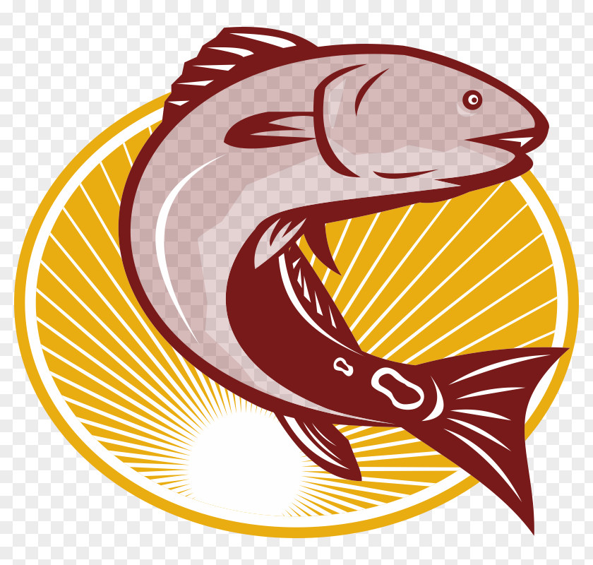 Red Drum Clip Art PNG
