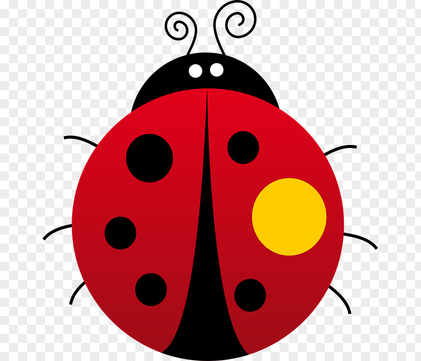 Beetle Ladybird Clip Art Image Download PNG