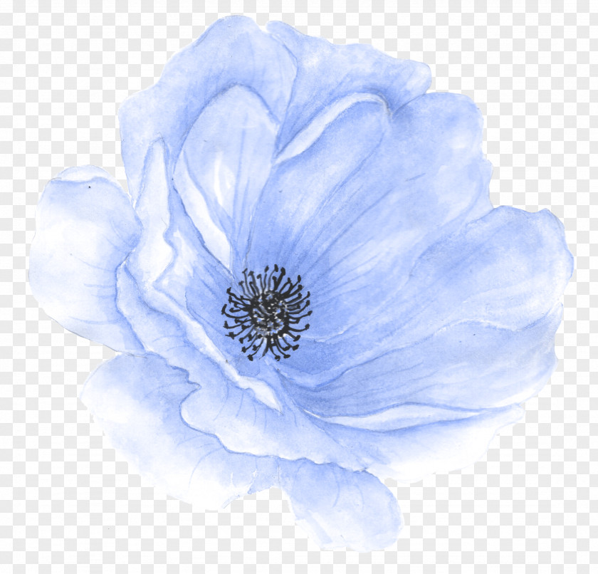 Blue Hand-painted Flowers PNG hand-painted flowers clipart PNG