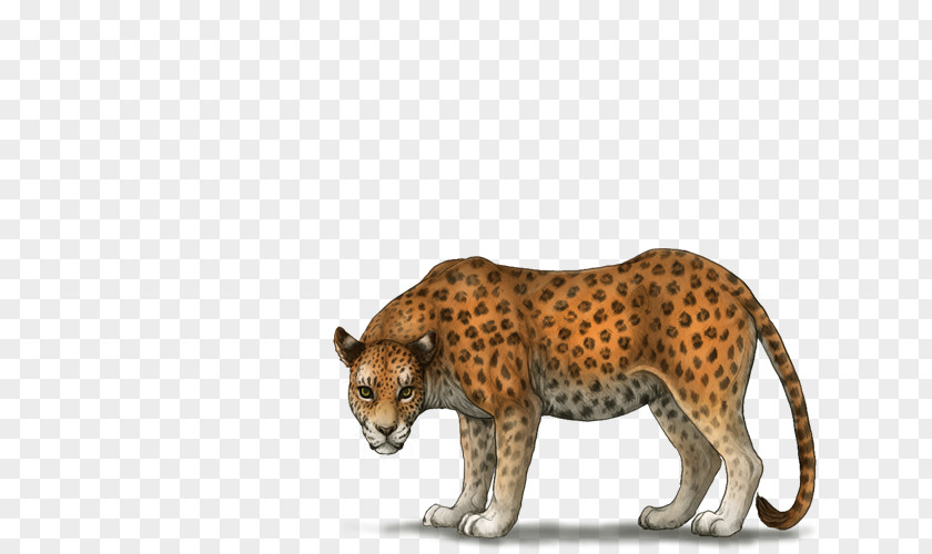 Cheetah Leopard Big Cat Terrestrial Animal PNG