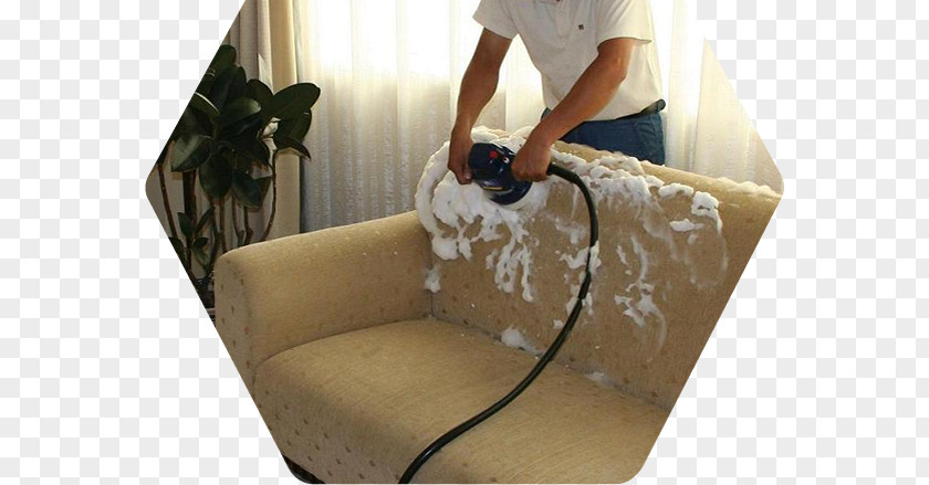Maid Service Cleaner Couch Carpet Cleaning PNG
