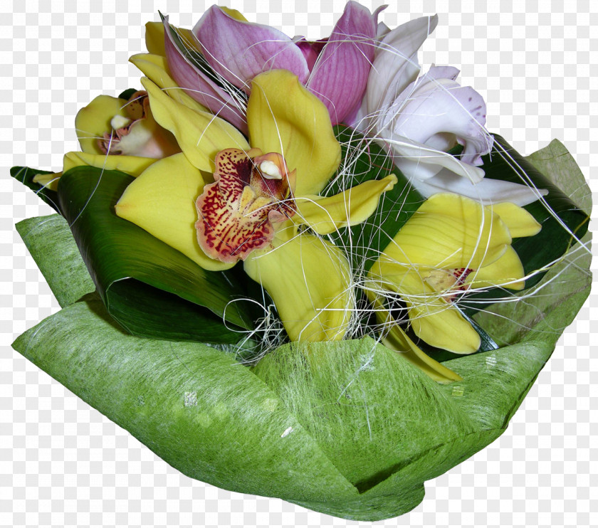 Orchids Cut Flowers Floral Design Flower Bouquet Floristry PNG