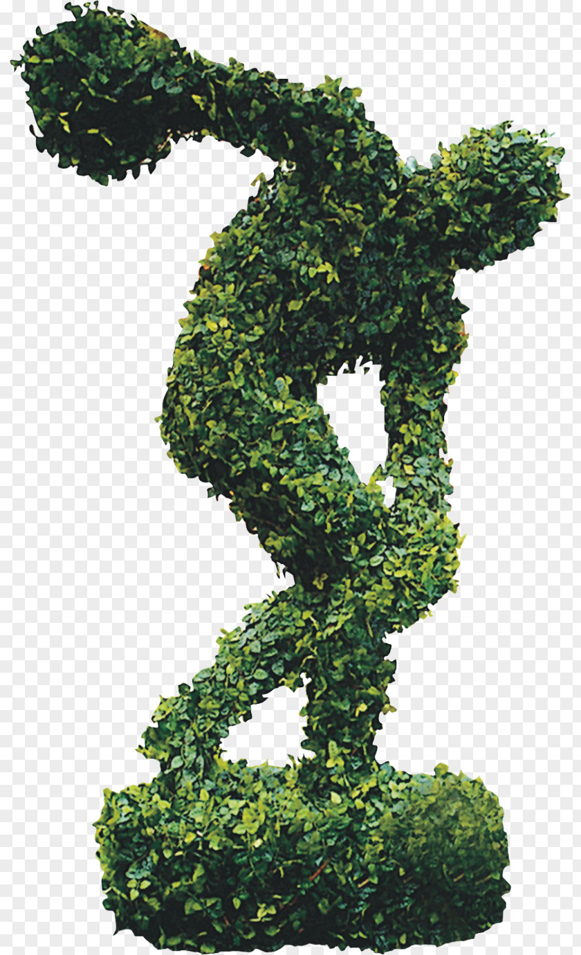 Sculpture Composed Of Green Leaves U9634u830eu5305u76ae Phimosis Andrology Download PNG
