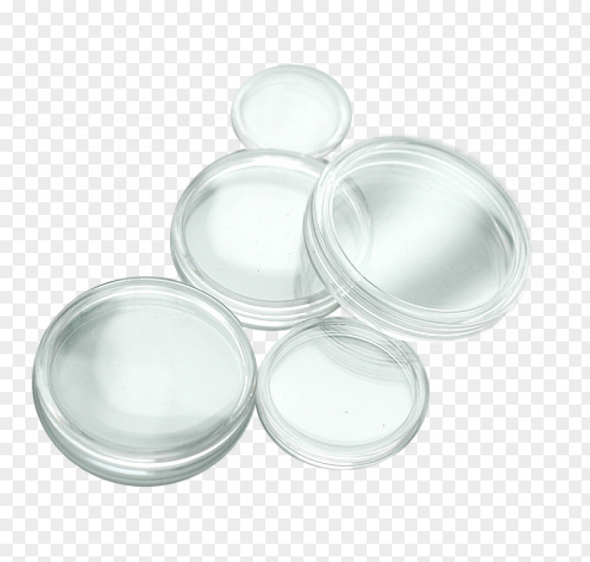 Silver Lid PNG