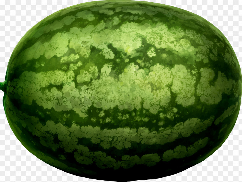 Watermelon Honeydew Clip Art PNG