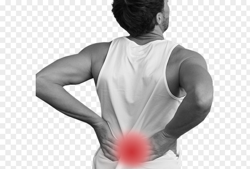 Back Pain Middle Shoulder Joint Neck Muscle PNG