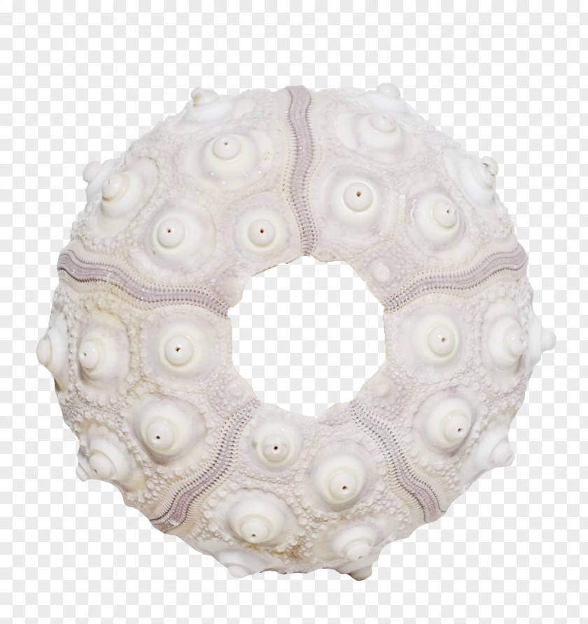 Creative Beautiful Conch Ring Creativity Sea Snail Designer PNG
