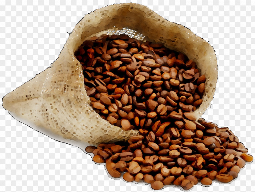 Iced Coffee Cafe Irish Bean PNG