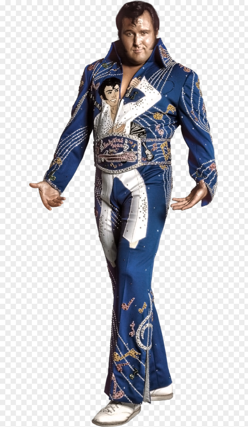 The Honky Tonk Man Royal Rumble (2001) 1990 WWE All Stars Intercontinental Championship PNG Championship, wwe clipart PNG