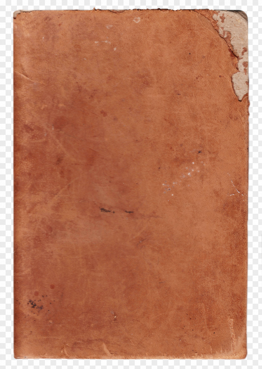 Wood Stain Varnish /m/083vt Rectangle PNG