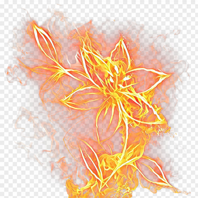 Art Orange Flowers Background PNG