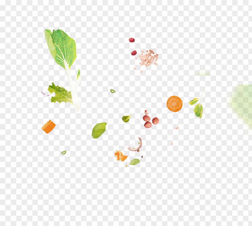 Green And Fresh Fruit Vegetable Floating Material Food PNG