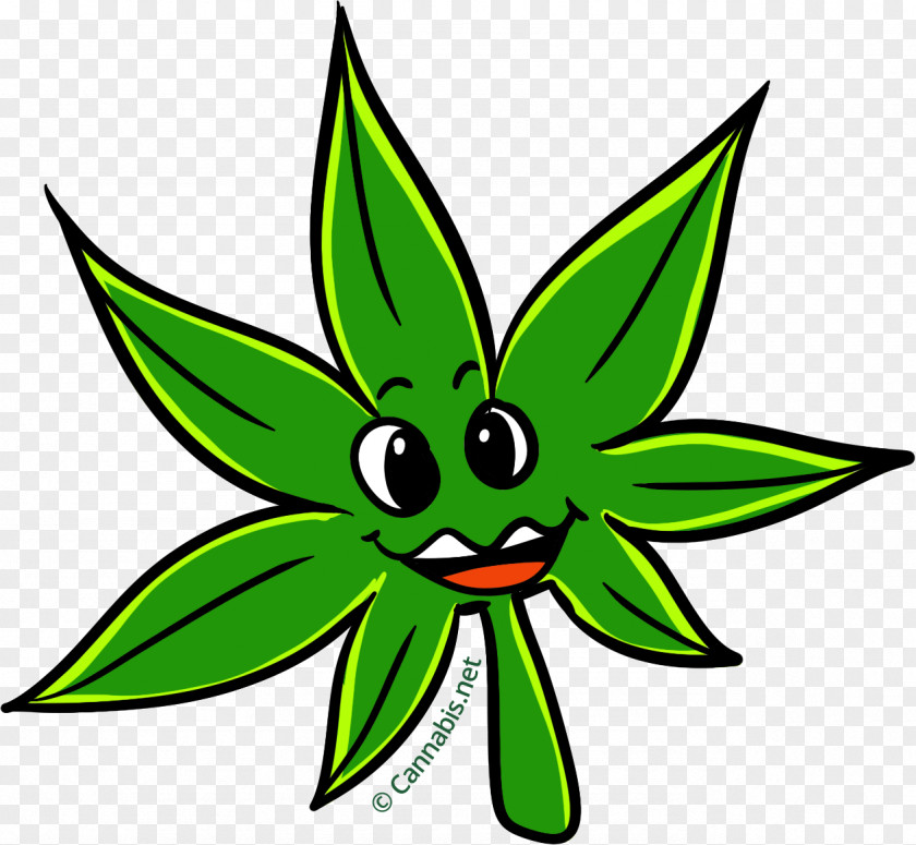 Leaf Kush Cannabis Tetrahydrocannabinol Clip Art PNG