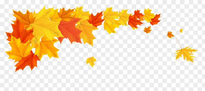Leaves Border Autumn Desktop Wallpaper Clip Art PNG