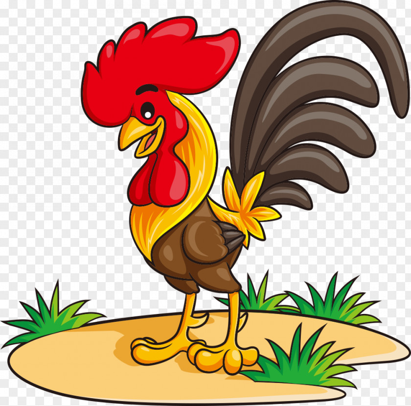 Vector Cartoon Chicken Rooster Illustration PNG