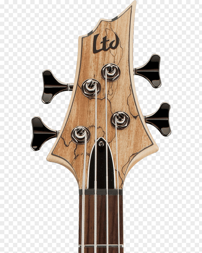 Bass Guitar ESP LTD EC-1000 Acoustic-electric B205SM Musical Instruments PNG